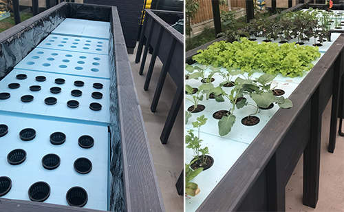 How To Make A Year-Round Self-Sustaining Garden