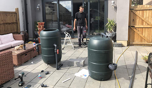 How To Make A Year-Round Self-Sustaining Garden