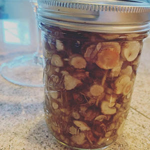 dandelion root tincture