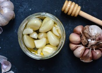 Homemade Fermented Honey Garlic