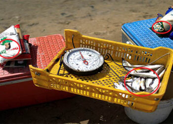 10 Most Sought-After Bartering Items in Venezuela