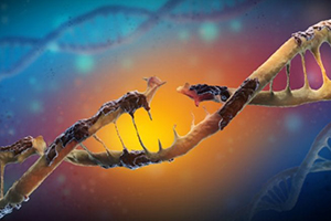 Study: THC Removes Toxic Protein that Causes Alzheimer’s from the Brain