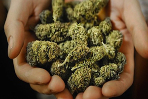 Study: THC Removes Toxic Protein that Causes Alzheimer’s from the Brain