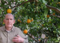 How Does This Man Grow Oranges in Nebraska’s Cold Winter?