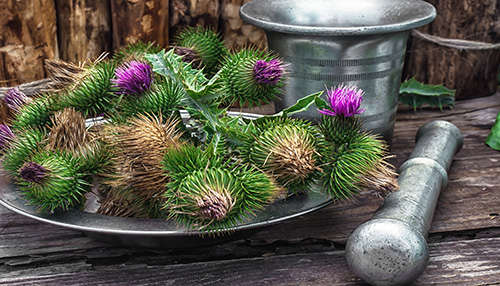 How To Use Milk Thistle For Inflammation