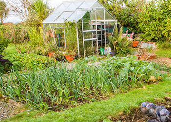 How Was Your Gardening Season