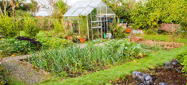 How Was Your Gardening Season