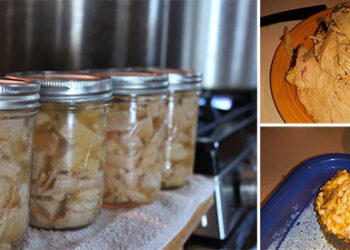 How to Can Your Leftover Turkey