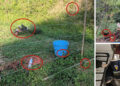 Preparing Your Garden For The Winter cph