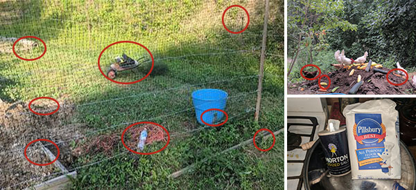 Preparing Your Garden For The Winter cph