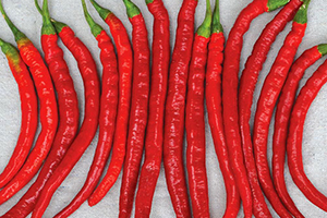 15 Best Herbs for Your Prepper Garden