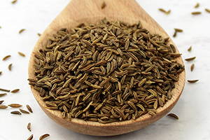 15 Best Herbs for Your Prepper Garden