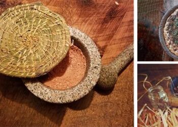 A Forgotten Wild Edible Pine Bark Flour