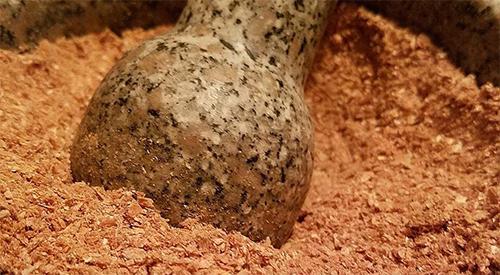 A Forgotten Wild Edible Pine Bark Flour