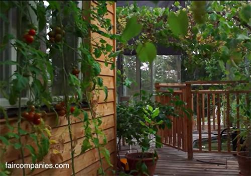 Couple Builds Greenhouse Around Home to Stay Warm and Grow Food All Year Long4