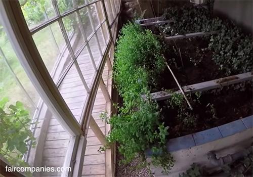 Couple Builds Greenhouse Around Home to Stay Warm and Grow Food All Year Long5