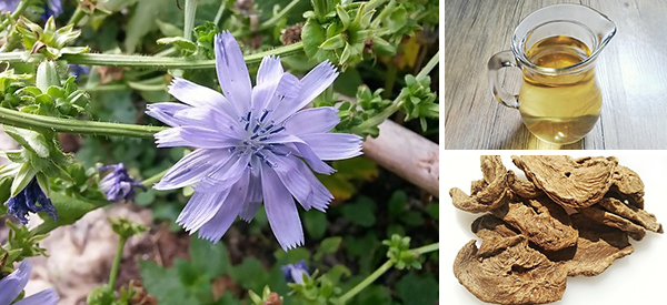 This Driveway Weed Has Pain-Killing Properties Similar to Ibuprofen