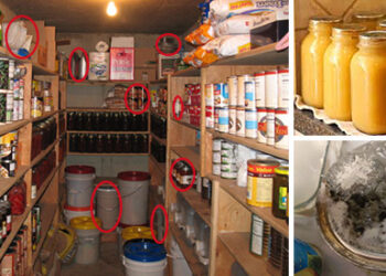 Remove This From Your Stockpile Immediately