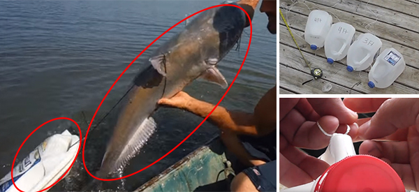 How to Catch Fish with a Jug