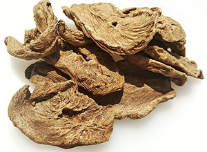 This Driveway Weed Has Pain-Killing Properties Similar to Ibuprofen