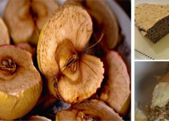 7 Shocking Foods Made to Survive Wild Frontier - Cover