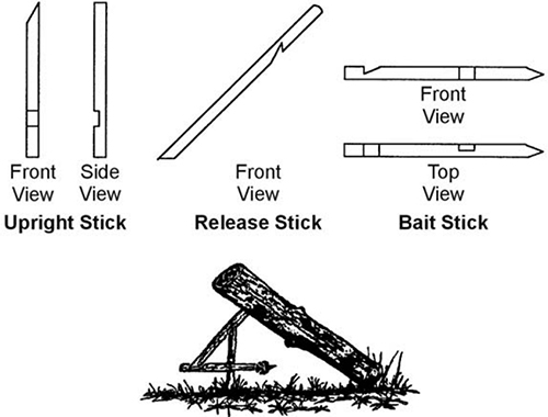 The Easy and Practical DIY Snares to Catch Small Wild Game3