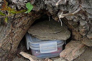How To Make A Survival Cache And What To Put In It
