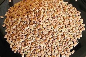 How to Lower Your Blood Sugar Levels with Fenugreek