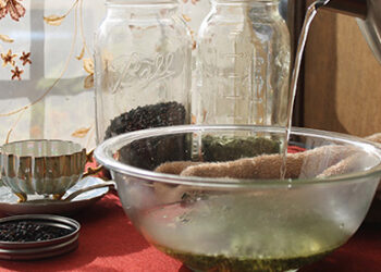 How to Use Herbs and Make Your Own Cold Medicines at Home