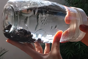 The Easiest And Cheapest Way To Filter Water With Shungite