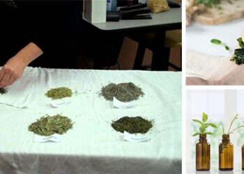 $0 Alternatives to Pain Meds - Cover3