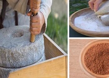 6 Backyard Plants You Can Turn Into Bread - Cover
