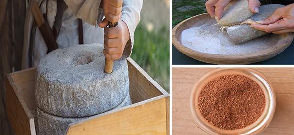 6 Backyard Plants You Can Turn Into Bread - Cover