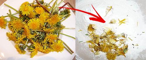 6 Backyard Plants You Can Turn Into Bread - Dandelion