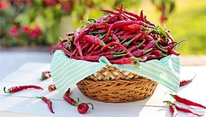 Cayenne Pepper - $0 Alternatives to Pain Meds