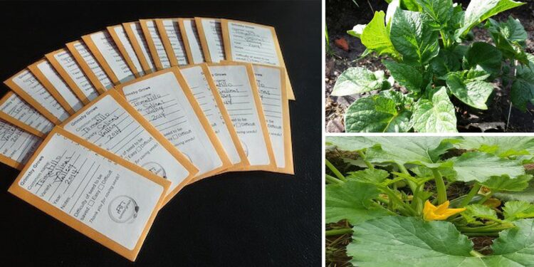 How to Properly Harvest Seeds and Get a Sustainable Food Source Year Round - Cover
