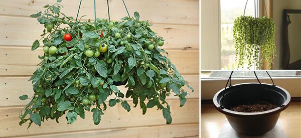 How To Grow Suspended Food Indoors - Cover 3rd
