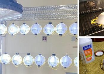 6 Ways to Sterilize Your N95 Mask for Endless Protection - Cover1