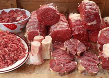 How to Slaughter and Field Dress a Cow for Year-Round Meat CP