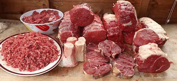 How to Slaughter and Field Dress a Cow for Year-Round Meat CP