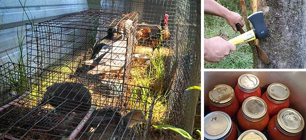 One Day Off the Grid - Cover1