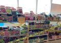 Where You Can Still Find Seeds, Even Though They are Completely Off the Shelves Right Now - Cover 2