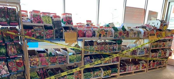 Where You Can Still Find Seeds, Even Though They are Completely Off the Shelves Right Now - Cover 2