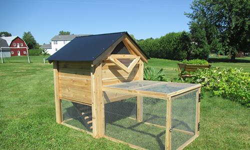 10 Survival DIY Projects You Can Start on Your Property Right Now - Chicken Coop