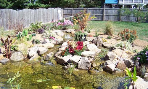 10 Survival DIY Projects You Can Start on Your Property Right Now - Fish Pond