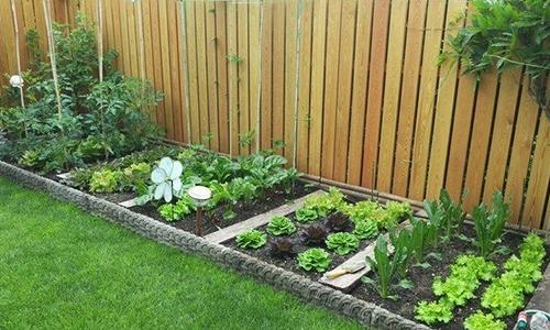 10 Survival DIY Projects You Can Start on Your Property Right Now - Garden