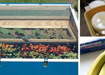 17 Forgotten Preservation Hacks that Will Save You Money - Cover2