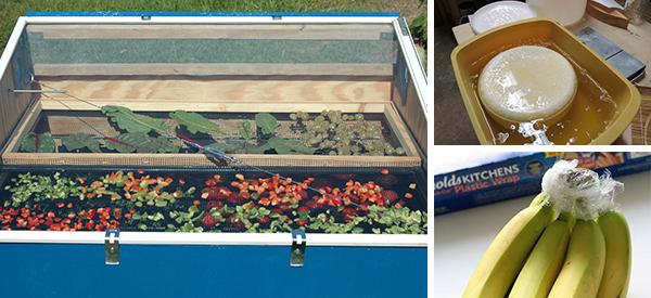 17 Forgotten Preservation Hacks that Will Save You Money - Cover2