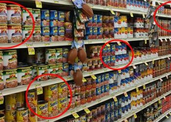 $200 Survival Food Menu for 2 Months - Cover1