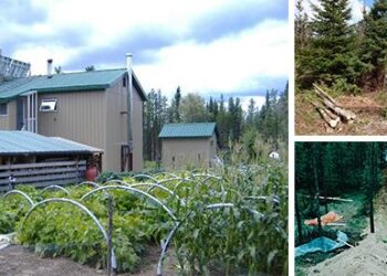 The Self-Sufficient Backyard Book Review - Cover1